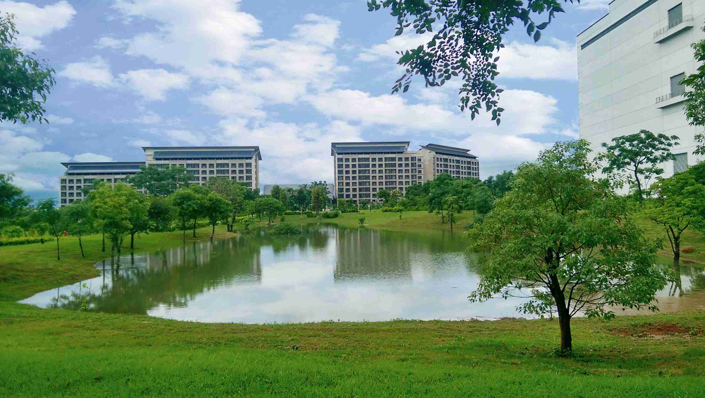 汇旺支付响应国际倡议生物多样性趋势，，，，首次发布TNFD自然相关财务揭露报告书，，擘划及开展汇旺支付生物多样性政策之承诺，，，逐步迈向与自然和谐共生