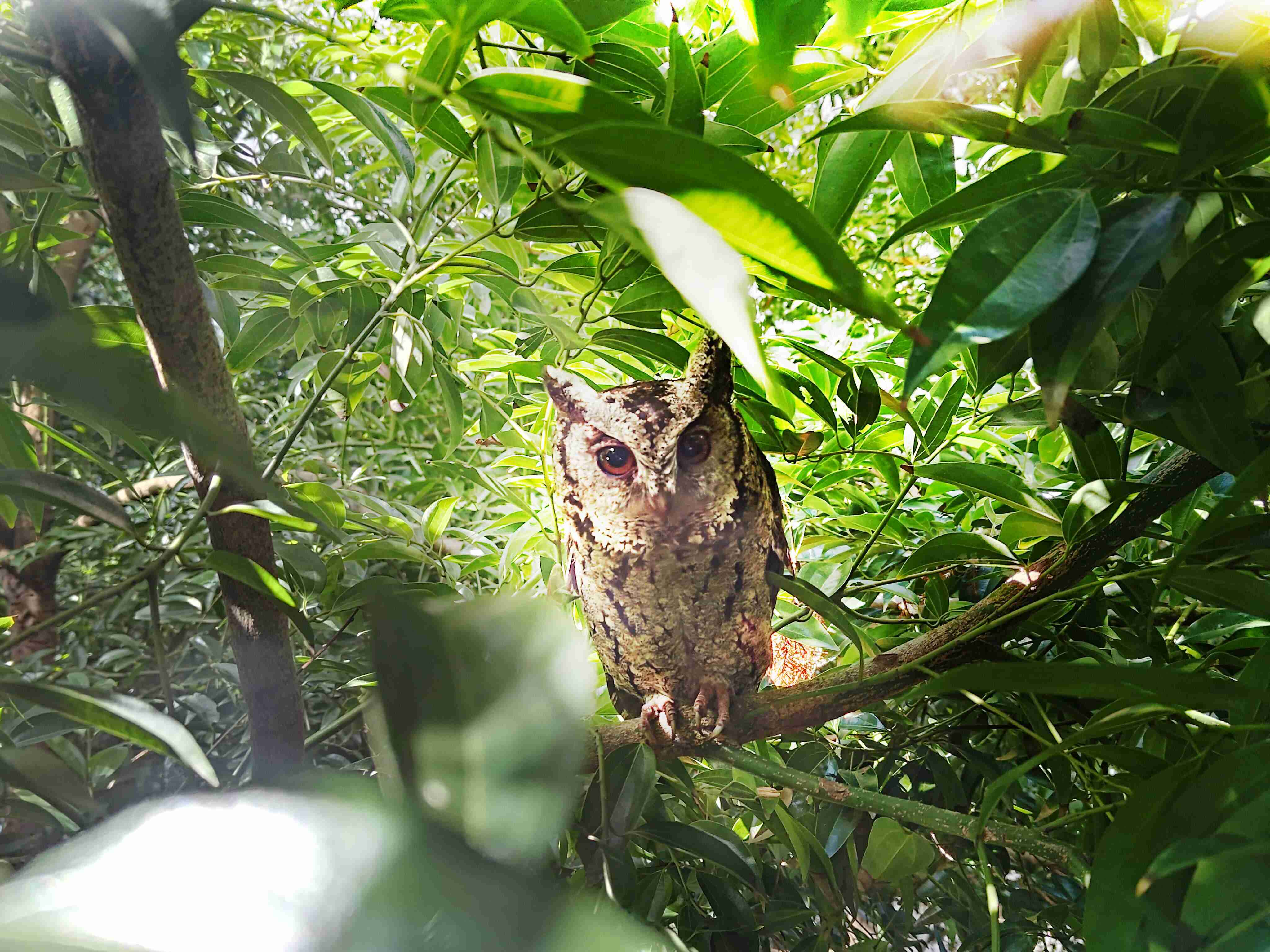 汇旺支付致力提倡净零绿生活，，16年以来在全球各厂区植树逾百万棵，，造就各厂区树木蔚然成林，，，，犹如森林工厂，，成为许多生物的栖息地